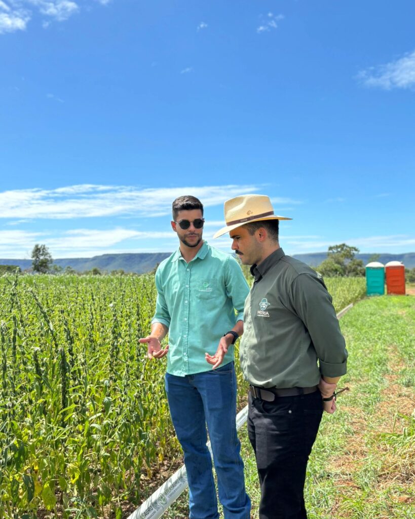 Palestra Ronaty Makuko Pátria Agronegócios Embrapa Palmas