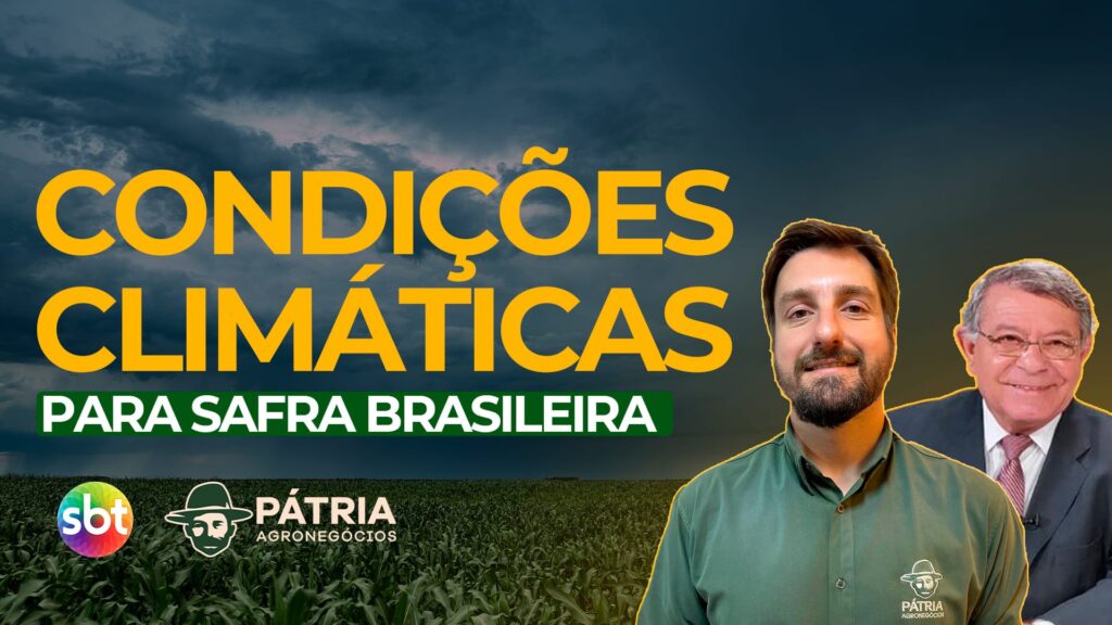 Condições climáticas para safra brasileira SBT Pátria Agronegócios