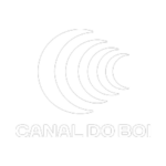 canaldoboi