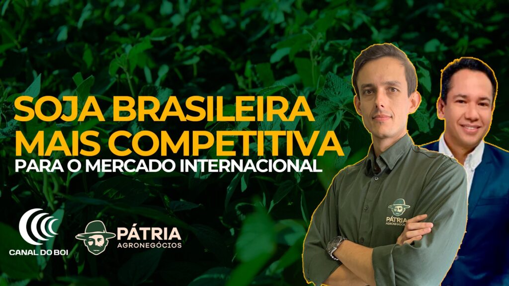 Soja Brasileira mais competitiva Matheus Pereira Canal do Boi